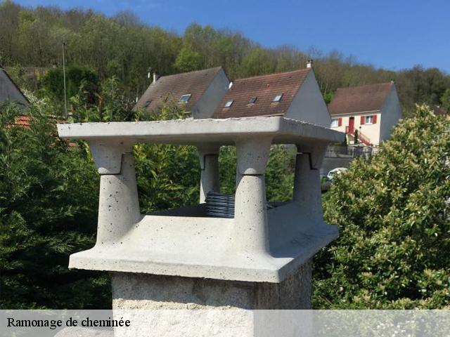 Ramonage de cheminée - Le petit ramoneur 77