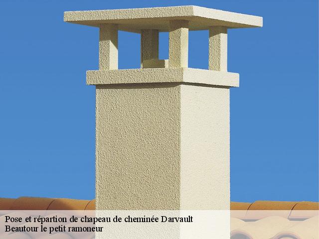 Pose et répartion de chapeau de cheminée  darvault-77140 Beautour le petit ramoneur