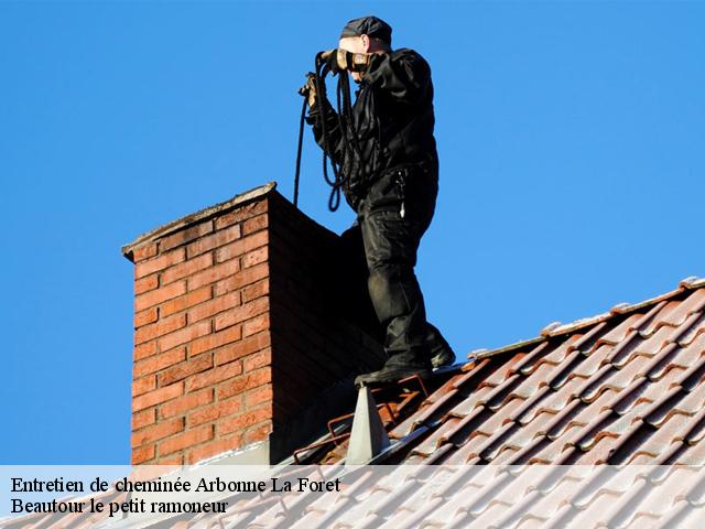 Entretien de cheminée  arbonne-la-foret-77630 Beautour le petit ramoneur